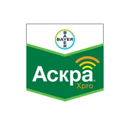 Продажа  Аскра Xpro ЕС 260, к.е. 5 літрiв